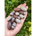 thumbnail image 3 of 1" Shiva Lingam Stone, Small Shiva Lingam Sacred Stones, 3 of 11
