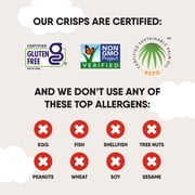 The Good Crisp Company Gluten-Free Sea Salt and Vinegar Snack Chips in Resealable Canister, 5.6 oz