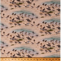 Cotton Sandpiper Pipers Beach Ocean Sand Coastal Dreams Landscape Cotton Fabric Print by the Yard (593SAND)