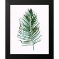 thumbnail image 2 of Tava Studios 12x14 Black Modern Framed Museum Art Print Titled - Sage Frond I, 2 of 5