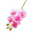 thumbnail image 2 of NIBOLOG Artificial Moth Orchids with Stem Realistic 5 Head Fake Phalaenopsis Flower Home Office Table Centerpiece Faux Flower Branch Floral Arrangement Decoration, 2 of 8