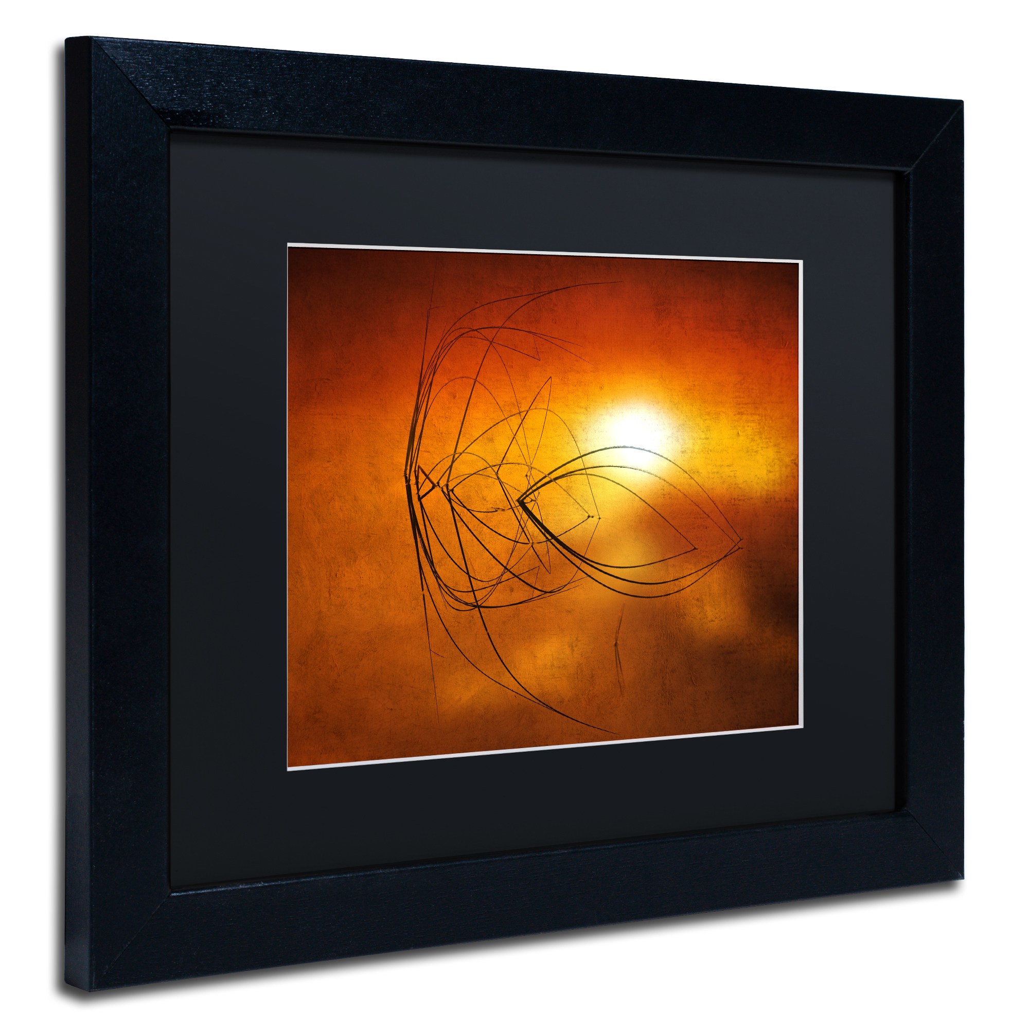 Trademark Fine Art "Touch of Last Light" Canvas Art by Philippe Sainte-Laudy Black Matte, Black Frame