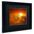 thumbnail image 3 of Trademark Fine Art "Touch of Last Light" Canvas Art by Philippe Sainte-Laudy Black Matte, Black Frame, 3 of 5