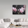 thumbnail image 3 of Trademark Fine Art 'Sparrow In Magnolia' Canvas Art by Ron Parker, 3 of 3