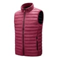 thumbnail image 2 of Chaleco de hombre Chaqueta de algodón con cuello levantado Chaqueta Chaleco delgado Ropa de hombre Pompotops oipoqjl21039, 2 of 3