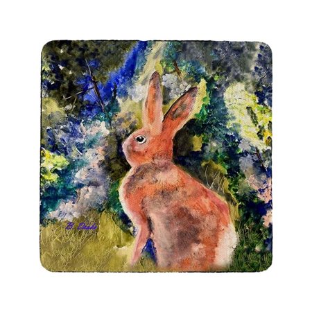 

Cottontail Rabbit Coaster - Set of 4