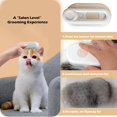 thumbnail image 2 of Cepillo de vapor para gatos Rnlrclrl 4 en 1, peine de aseo recargable, 2 of 7