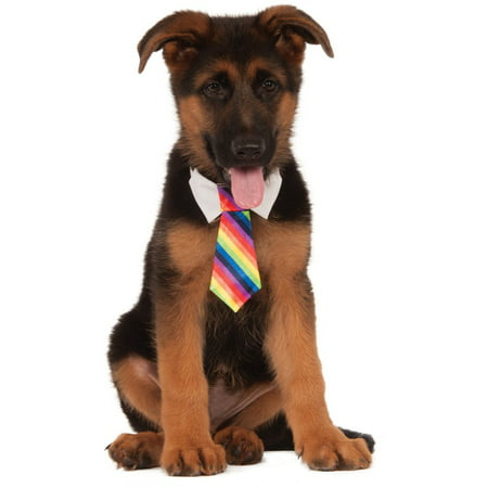 Formal Circus Clown Rainbow Tie Pet Collar Dog Costume Accessory