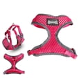 thumbnail image 1 of Breathable Dog Walking Collar Chest Strap Harness Turquoise S Salvador Dali none, 1 of 3