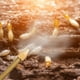 thumbnail image 4 of EeaseMX Espolvoreador de bulbo para control de plagas, pulverizador de pesticidas en polvo con lanza larga de cobre, 4 of 8