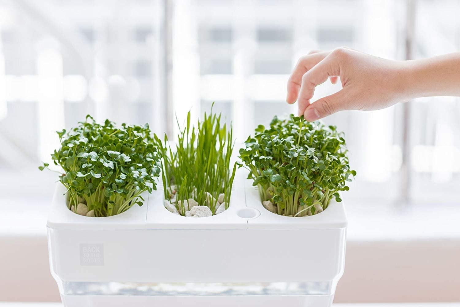 Back to the Roots 3 Gal. Self-Cleaning Aquaponic Water Garden Fish Tank Aquarium