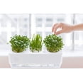 thumbnail image 5 of Back to the Roots 3 Gal. Self-Cleaning Aquaponic Water Garden Fish Tank Aquarium, 5 of 6