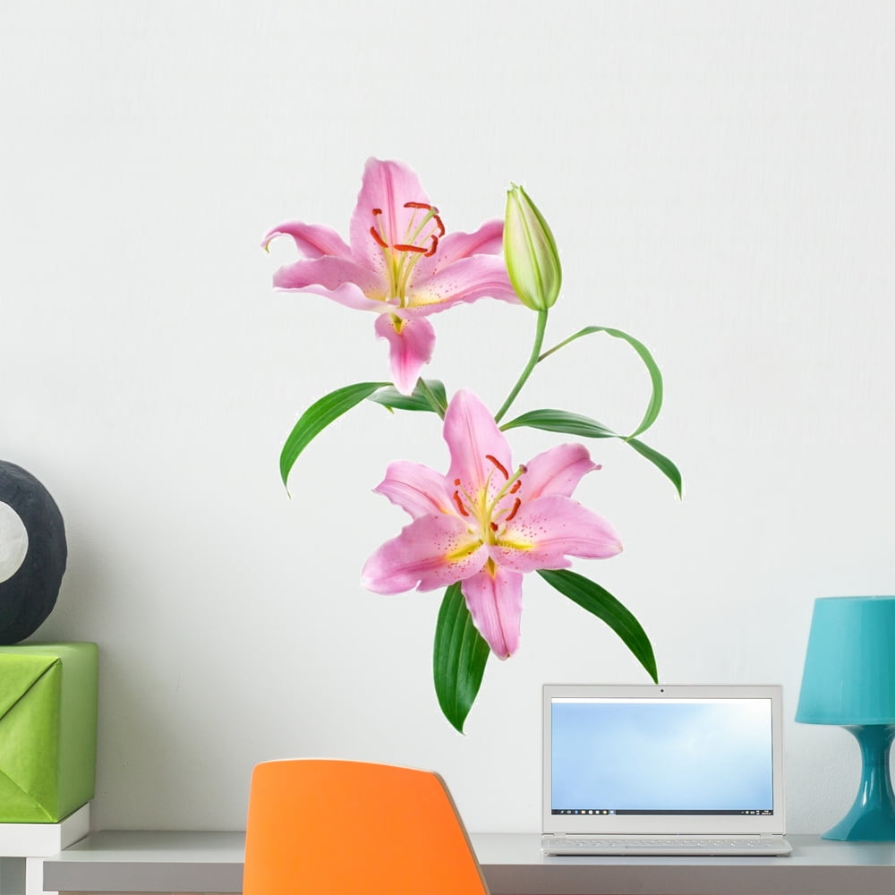 Pink Lily Flowers Wall Decal by Wallmonkeys Peel and Stick Graphic (24 in H x 17 in W) WM317818