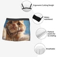 thumbnail image 3 of Susaid Playful Cat Fisheye View Print Men's Mesh Boxer Briefs Cooling Breathable Sports Underwear Wide Waistband Boxer Briefs W/Fly-Medium, 3 of 5