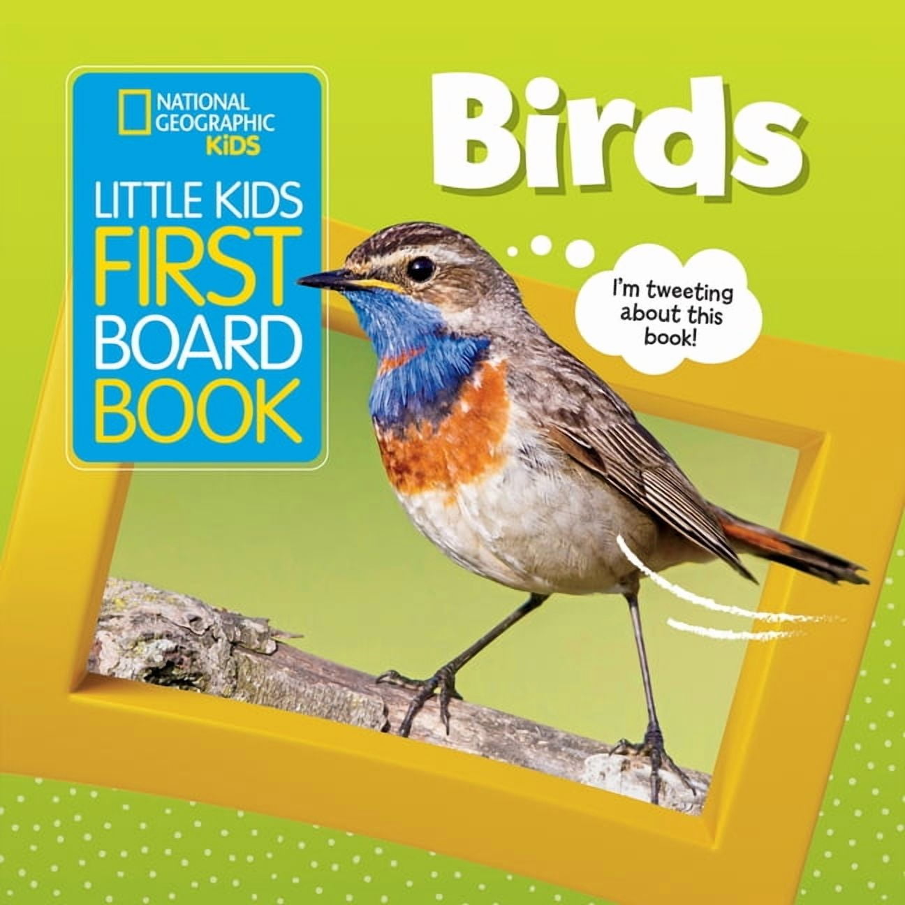 Peterson Field Guides: Young Naturalists: Backyard Birds (1st  Edition)(Paperback) - Walmart.com, image size:1296x1296