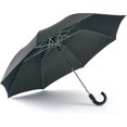 thumbnail image 3 of SHILIU-Ambassador Parapluie, 3 of 4