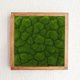 thumbnail image 1 of YSNOOWE 2Ud Panel De Musgo Artificial Verde Para De Pared Interior Y Exterior, 1 of 8