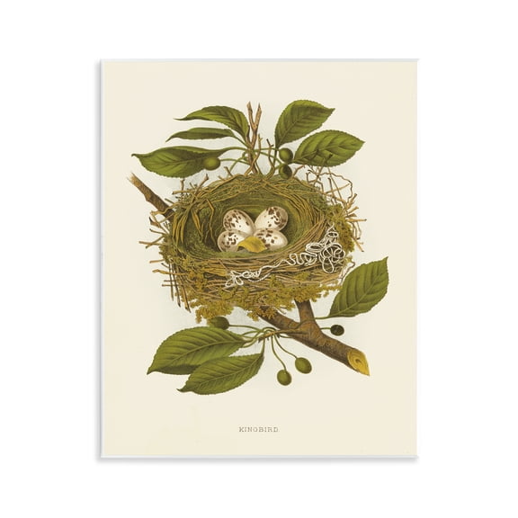 Stupell Industries Birdnest with Spotted Eggs Plants & Flowers Painting Unframed Art Print Wall Art, 11 x 14