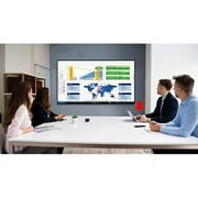 Panasonic TH-50EQ2W 50 Class 4K Digital Display