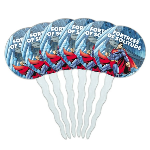 Superman Fortress of Solitude Cupcake Picks Toppers Decoration Set of 6