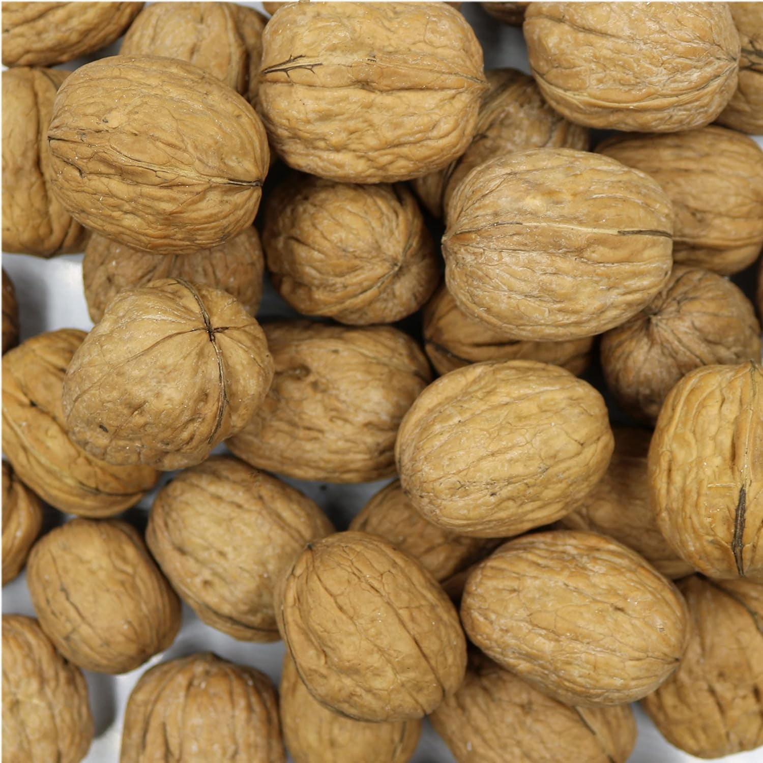 FirstChoiceCandy whole walnuts enclosed within their  Shell - 5 Pound