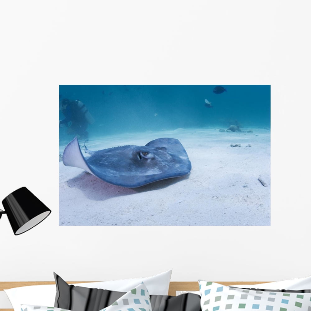 Sting Ray Wall Art main image 0