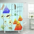 thumbnail image 1 of SUTTOM Educational Education Science Food School Learn Teach Chain Shower Curtain 60x72 inch, 1 of 1