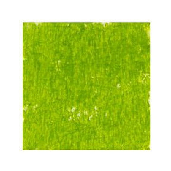HOLBEIN ARTISTS COLORS 124644 ACADEMIC OIL PASTEL GRASS GREEN