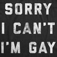 thumbnail image 2 of Mens Sorry I Cant Im Gay T Shirt Funny LGBT Pride Tee Graphic Tees, 2 of 9