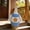 B, variant on Orangide Goose Clothes Flag 23in for Porch Courtyard, Outdoor Theme Decoration for Garden, Spring Summer Decor, Funny Gift, for Goose Lovers, Outdoor Flag (no Statue)