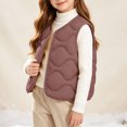 thumbnail image 5 of BLVB Toddler Puffer Vest Boys Girls down Vest Warm Fall Winter Jacket Lightweight Sleeveless Button down Coat for Kids(Brown,2-3 Years), 5 of 9