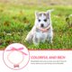 thumbnail image 4 of Collar de perlas para mascotas, collar decorativo para perros y gatos, collar de perlas para perros pequeños y medianos., 4 of 8