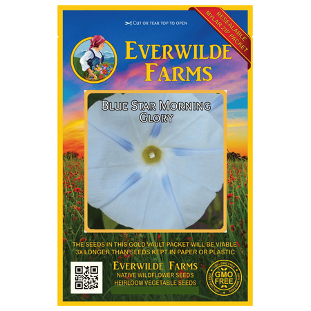 Everwilde Farms - 50 Blue Star Morning Glory Garden Flower Seeds - Gold Vault Jumbo Bulk Seed