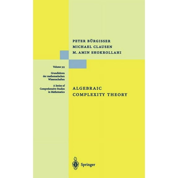 Grundlehren Der Mathematischen Wissensch Algebraic Complexity Theory, Book 315, (Hardcover)