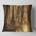 thumbnail image 2 of Designart Golden Morning in Dense Forest - Landscape Photography Throw Pillow - 18x18, 2 of 5