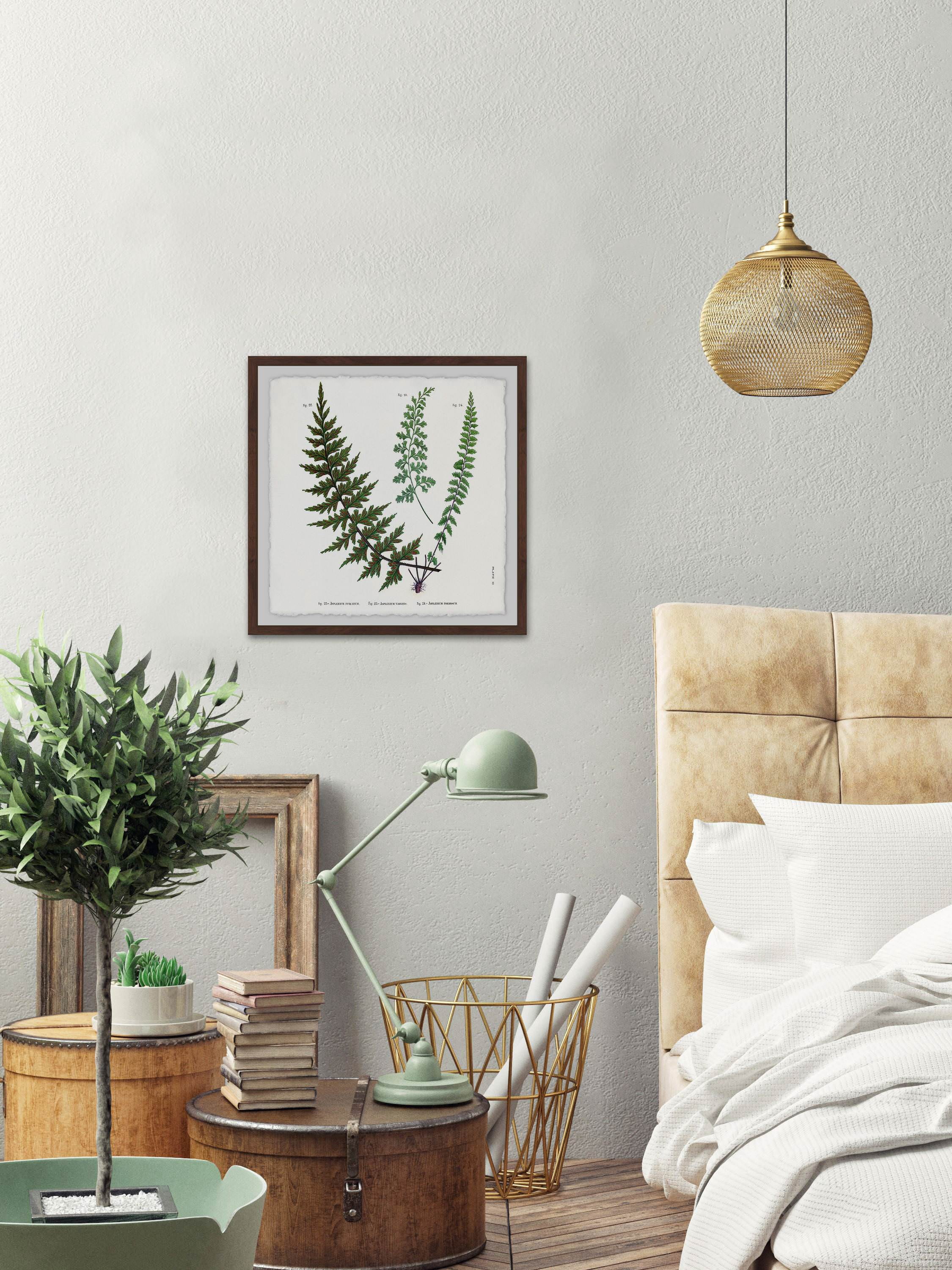 Indian Ferns Framed Painting Print