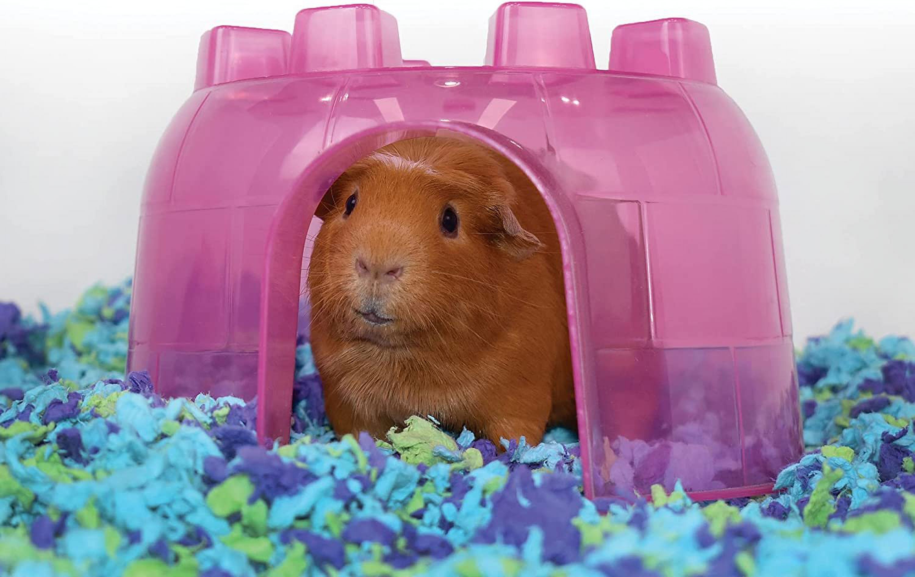 CareFresh Sea Glass Small Pet Bedding, 23L photo 4