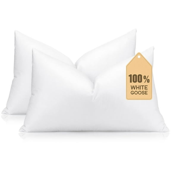 Set of 2 Down and Feather Throw Pillow Inserts 12x20 Soft Fluffy Pillow Inserts with 100% Down-Proof Cotton Cover, Decorative Square Cushion Inner for Sofa Couch Bed-White