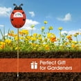 thumbnail image 4 of Ladybug Design Soil Moisture Tester - Battery-Free Single Probe Plant Water Monitor with Clear Dial & Arrow Pointer, Portable 11.62"x2.95" Gardening Tool for Indoor/Outdoor Plants, Containers,, 4 of 6