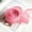 Pink, variant on 196 Inch Easter Spring Pastel Wired Ribbon Rolls,1.57 Inch Wide Spring Colorful Craft Ribbon for Easter, Christmas, Birthday,Valentine Gift Wrapping and Party Decor