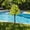 Yellow, variant on Artificial Lavender Topiary Stake,Combined Vivid Lavender Blooms and Wheat-Shaped Florets with Solid Black Ground Stake for Yard,Patio,Poolside,Garden Path,Porch,Window Box(Purple)