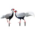 thumbnail image 2 of 2pcs Realistic Acrylic Pheasant Stakes for Lawn Garden Decoration Durable Outdoor Art for Farmhouse Rustic Style, 2 of 5