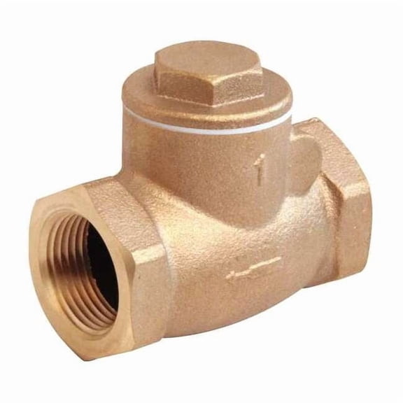 Manufacturer Varies 1-1/4" NPT Bronze Swing Check Valve 10F304