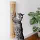 thumbnail image 1 of Rascador de pared para gatos 7 Ruby Road, 1 of 9