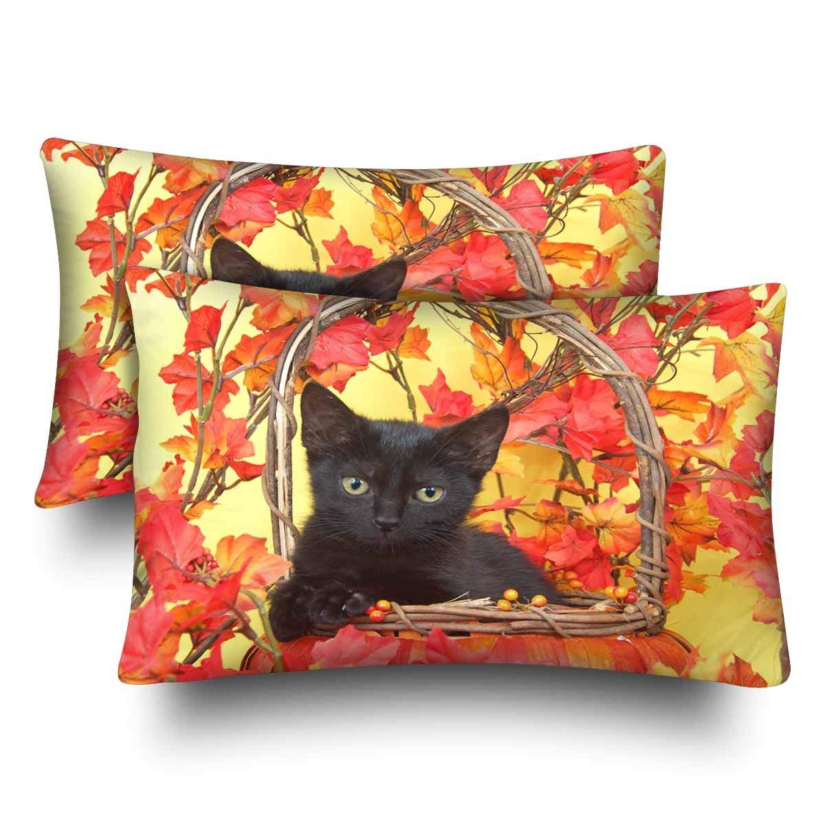 GCKG Black Cat Autumn Leave Pillow Cases Pillowcase 20x30 inches Set of
