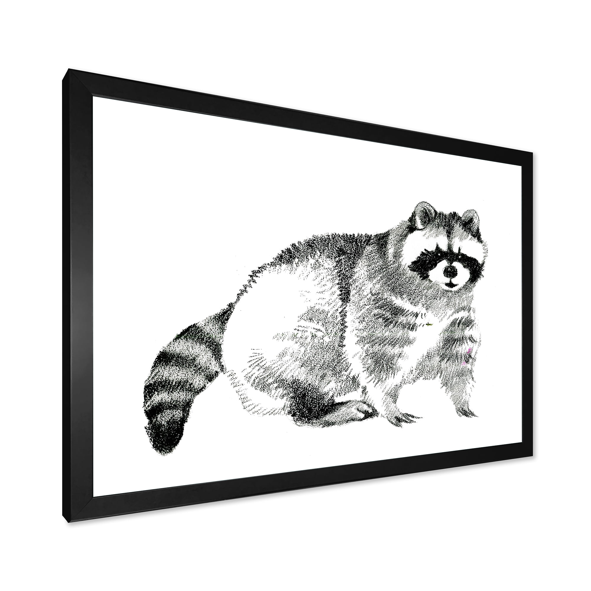 Designart 'Black and White Portrait Of Raccoon' Farmhouse Framed Art Print