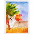 thumbnail image 1 of Carolines Treasures CK1946GF Fall Corgi Garden Size Flag, 1 of 3