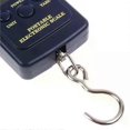 thumbnail image 4 of 40kg/10g Mini Digital Scale for Fishing Luggage Travel Weighting Steelyard Hanging Electronic Hook Scale Kitchen Weight Tool, 4 of 5