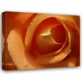 thumbnail image 1 of Scott Larson 32x26 Gallery Wrapped Canvas Wall Art Titled - Single Rose I, 1 of 4