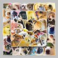 thumbnail image 1 of Cute internet celebrity dog expression pack, 50 creative and, 1 of 5